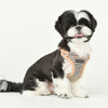 Puppia/Pinkaholic Puppia Lucas Harness C 