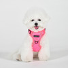 Puppia/Pinkaholic Puppia Neon Harness H 