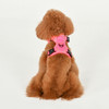 Puppia/Pinkaholic Puppia Neon Harness H 