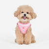 Puppia/Pinkaholic Pinkaholic  Pria Vest Harness B 