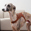  Kandog Leather Toscana Harness 