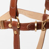  Kandog Leather Handle Harness 