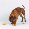 Fringe Studio PetShop by Fringe Studio Just Add Water Dog Toy Set Small 3pc 