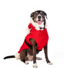Chilly Dog Santa Wool Sweater 