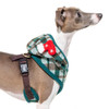 Puppia/Pinkaholic Puppia Festive Harness A-FINAL SALE 