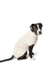 Chilly Dog Cable Knit-Natural Wool Sweater 