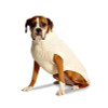 Chilly Dog Cable Knit-Natural Wool Sweater 