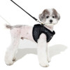 Puppia/Pinkaholic Puppia Douglas Vest Harness B 