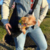  NYD Open Mesh Sling Dog Carrier 