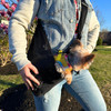  NYD Open Mesh Sling Dog Carrier 