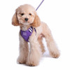 Dogo DOGO EasyGO Solid Dog Harness 