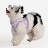 Pinkaholic Trixie Vest Harness B-100% Cotton