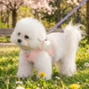 Pinkaholic Kiki Vest Harness B-100% Cotton