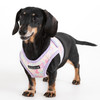 Puppia Nola Cotton Vest Harness B
