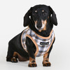 Puppia Windsor Vest Harness B