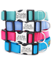 Engraved Personalized Webbing Dog Collar -Mimi Green