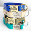 Waterproof Leather Alternative Dog Collar with Engraved Buckle Option -Mimi Green