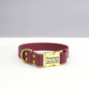Waterproof Leather Alternative Dog Collar with Engraved Buckle Option -Mimi Green