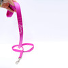Solid Webbing Leash-Mimi Green-option for personalized embroidery