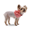 EasyBow Rose 3
