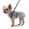 EasyGo Tuxedo Harness