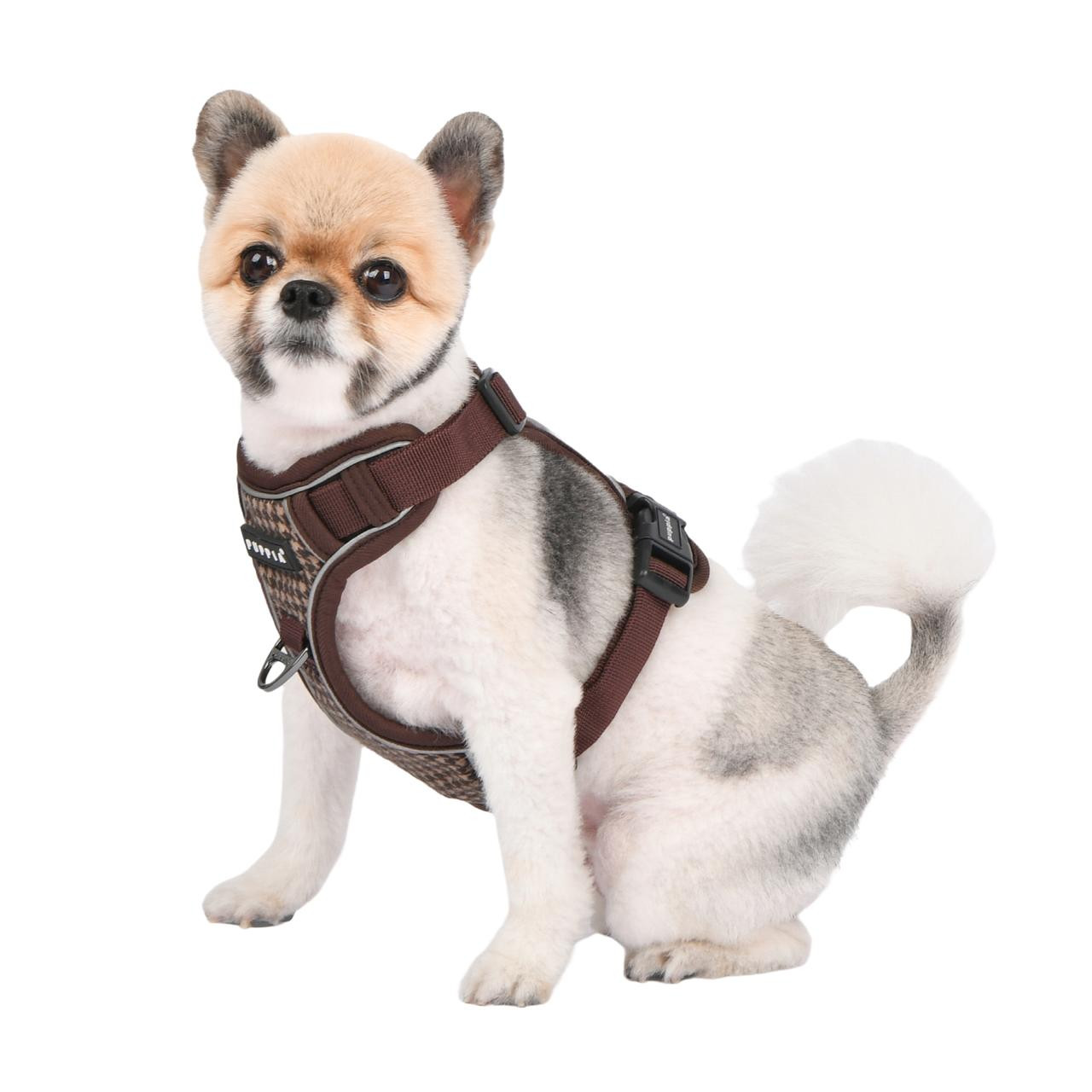 Puppia Scarlett