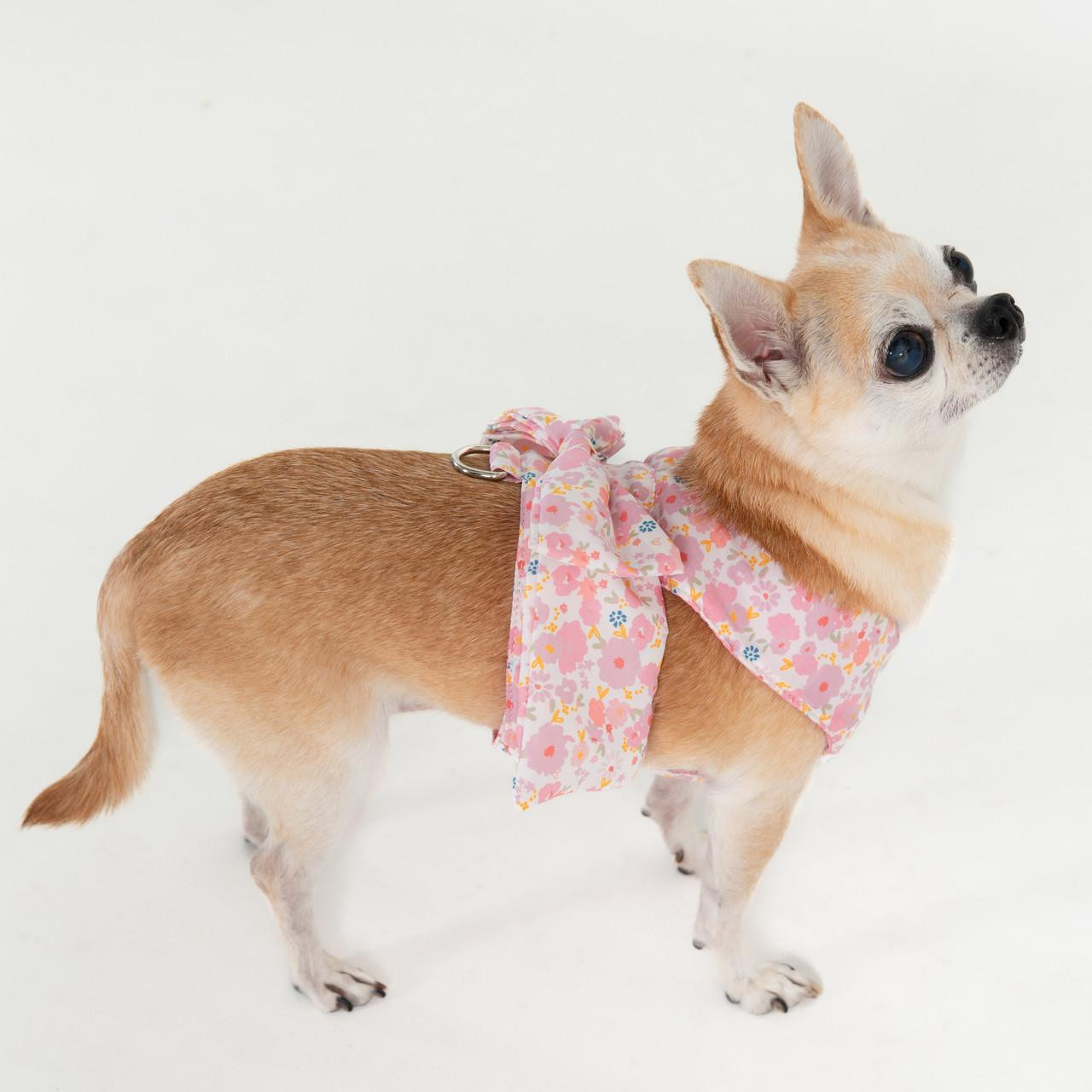 Puppia Soft Mesh Dog Harness - Shop Online!