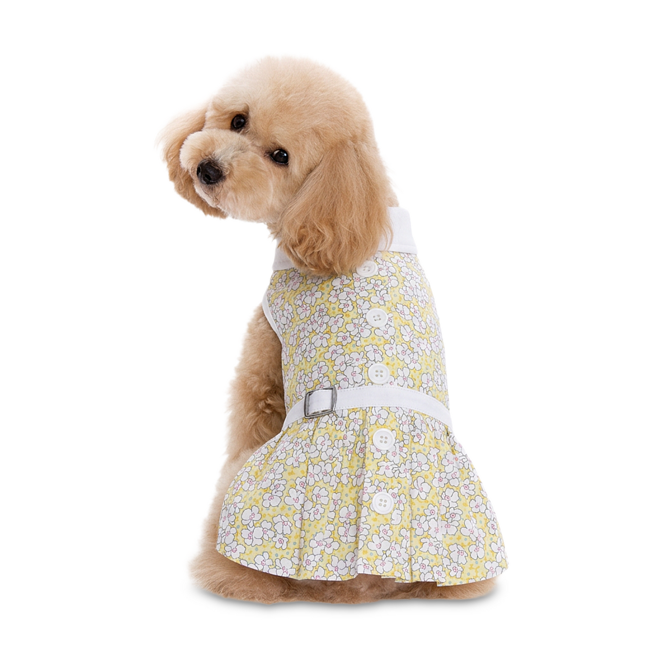 dog summer dress Sewing Pattern and a neck size of 19 Smocked Daisy Dog Dress with