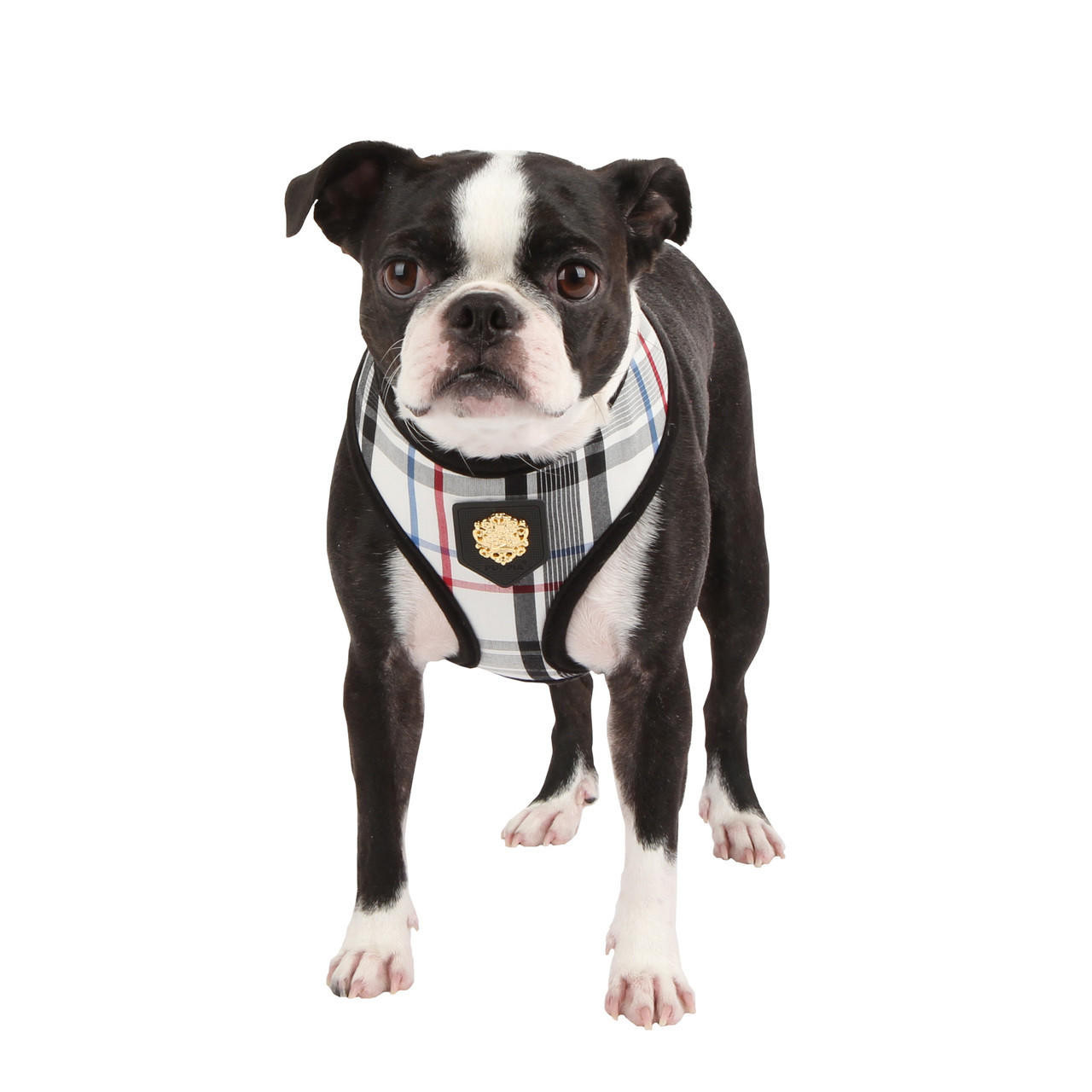 Puppia Junior Leine L – Hundeleine, Rosa, Aus Baumwolle-Polyester