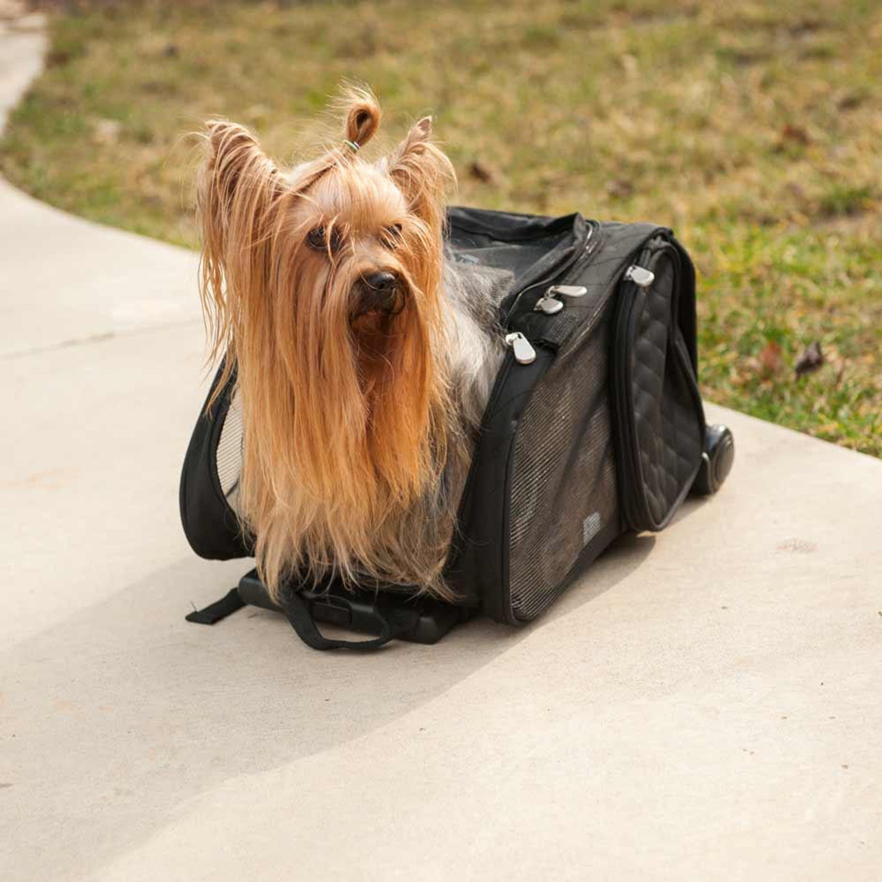 Pet Wheel Away Pet Carrier (Medium) - Shop Online!