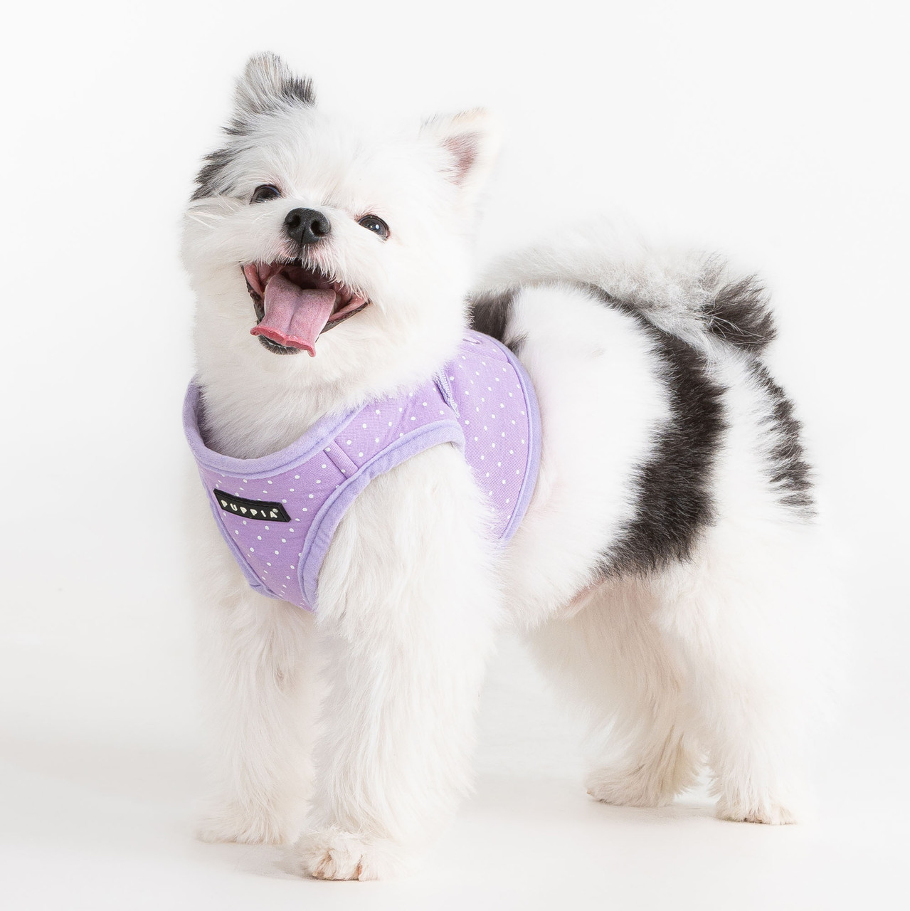 Puppia Dotty Harness Vest
