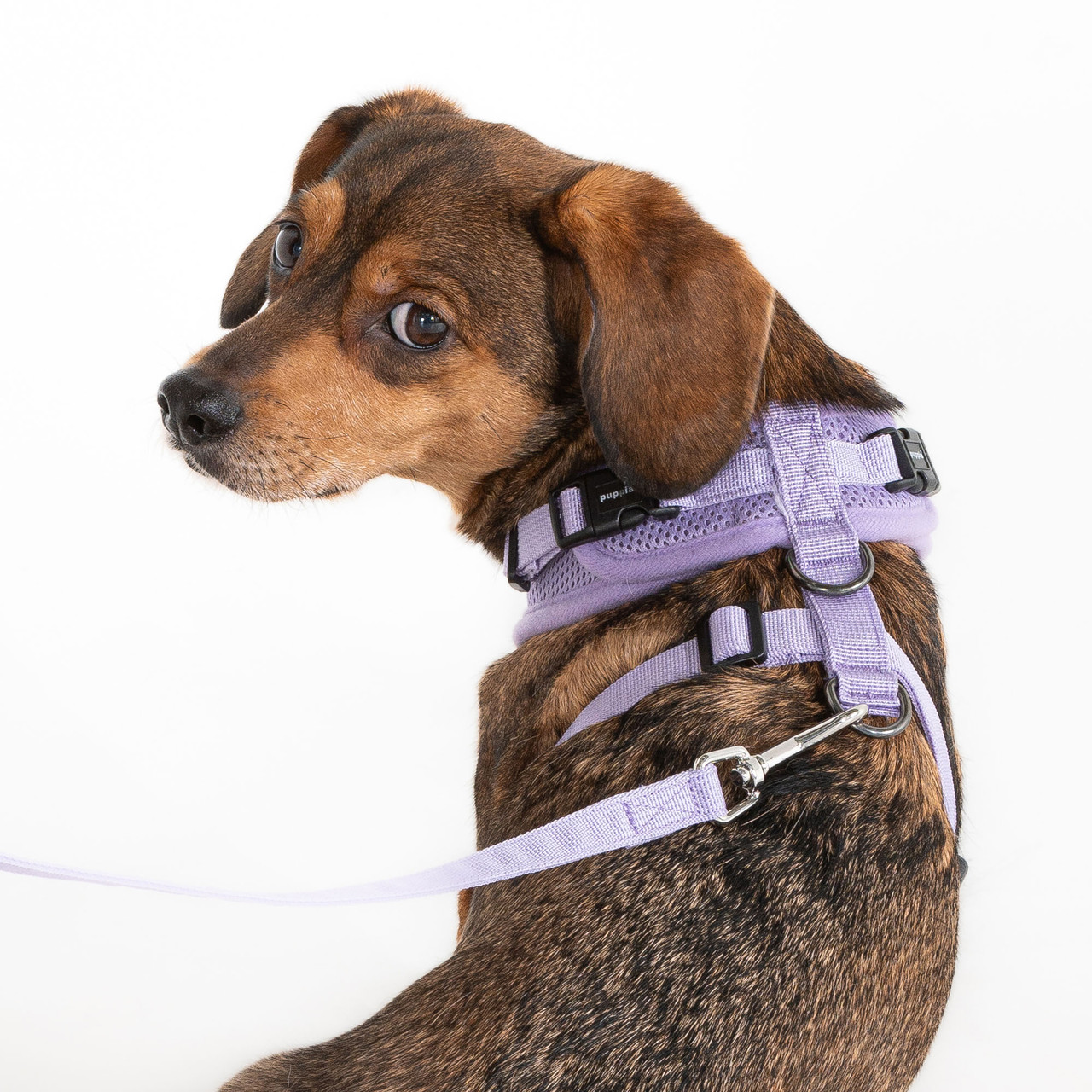Puppia Ritefit Harness