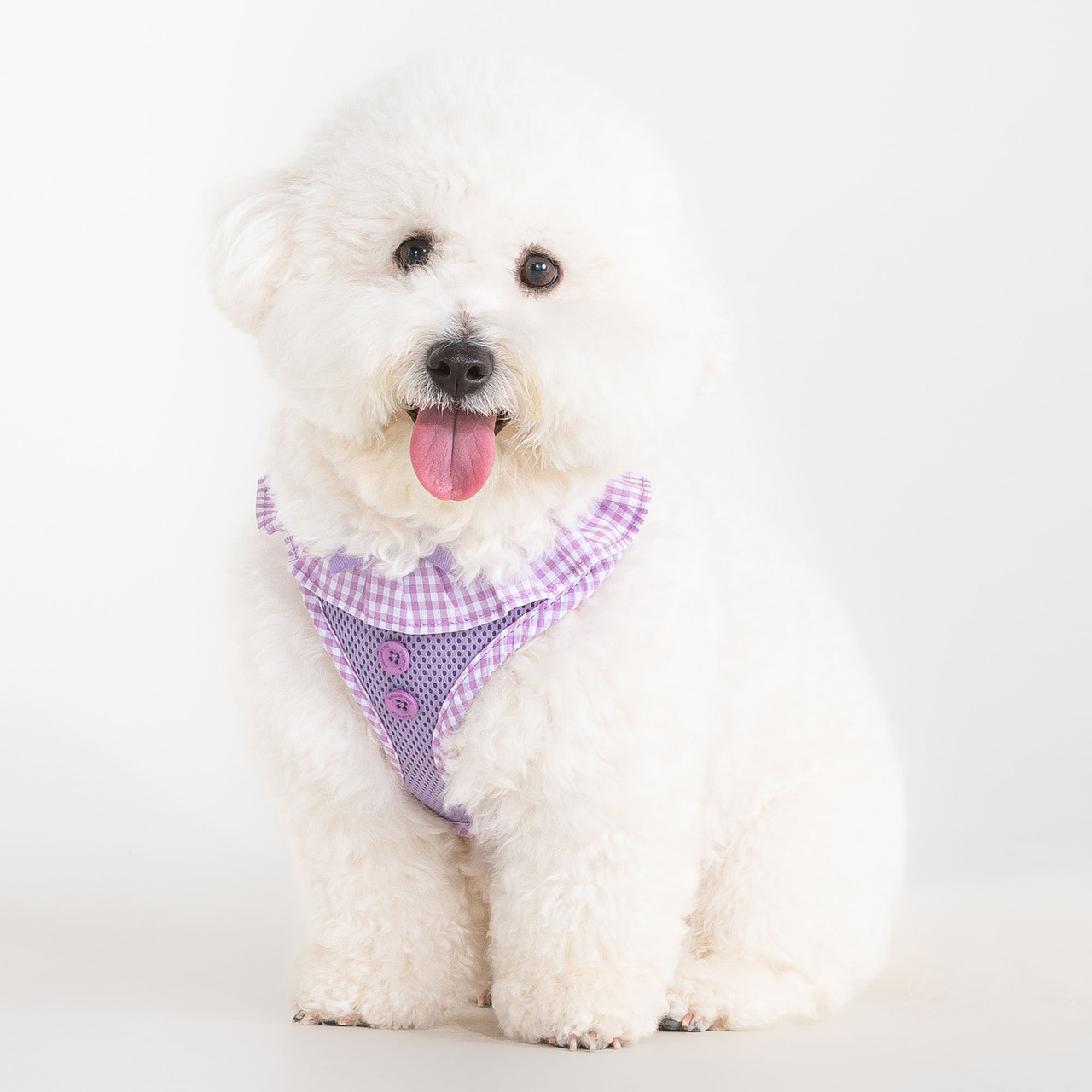 Puppia Vivien Harness