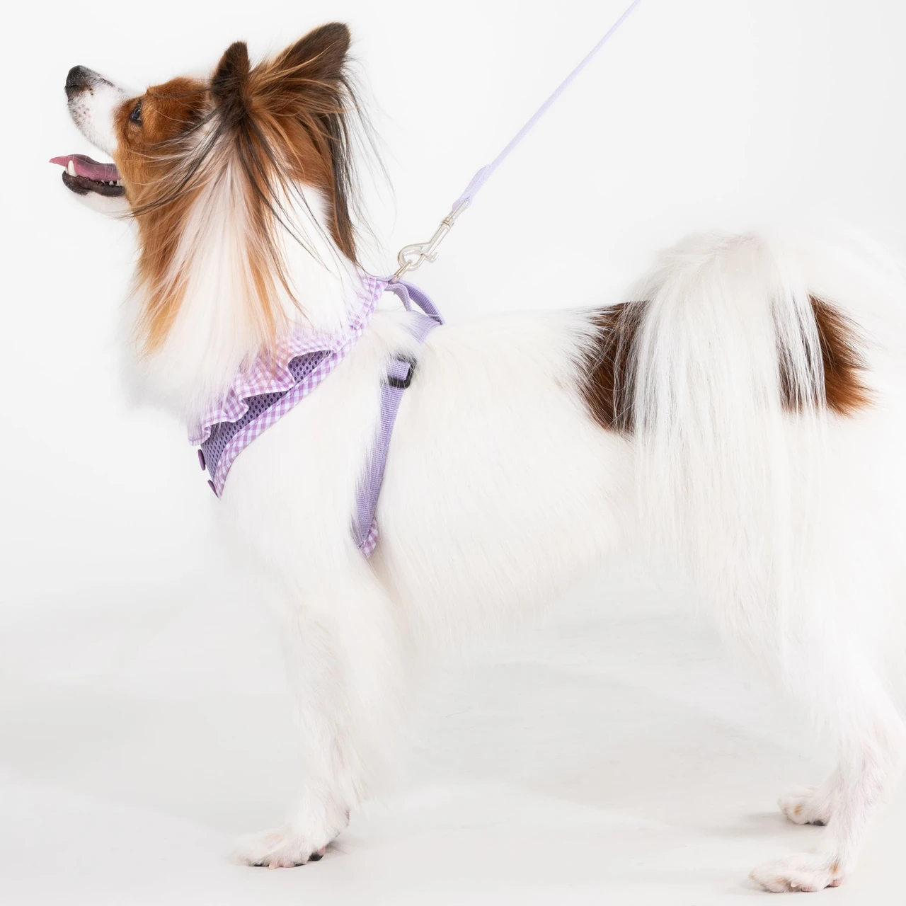 Puppia Vivien Harness