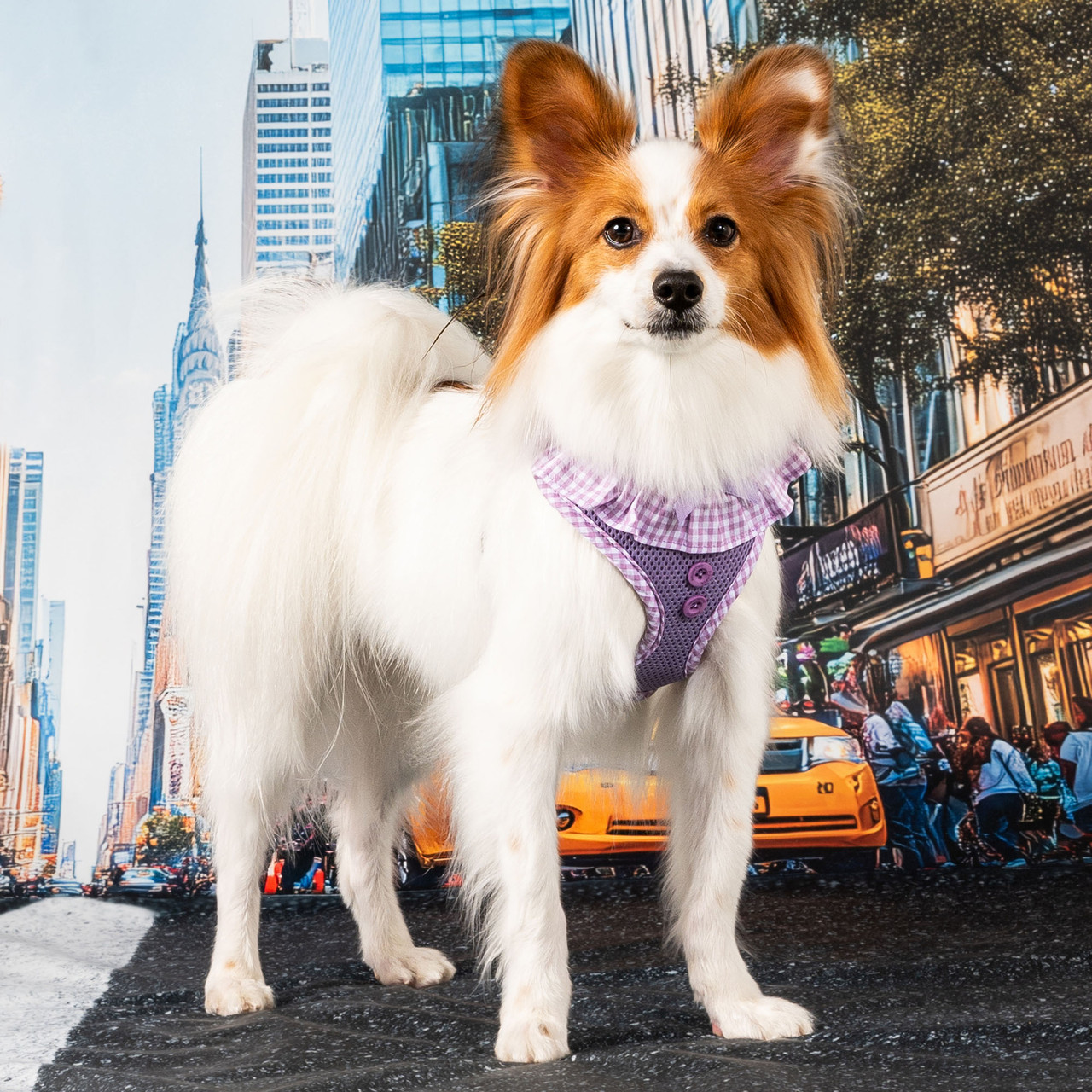 Puppia Vivien Harness