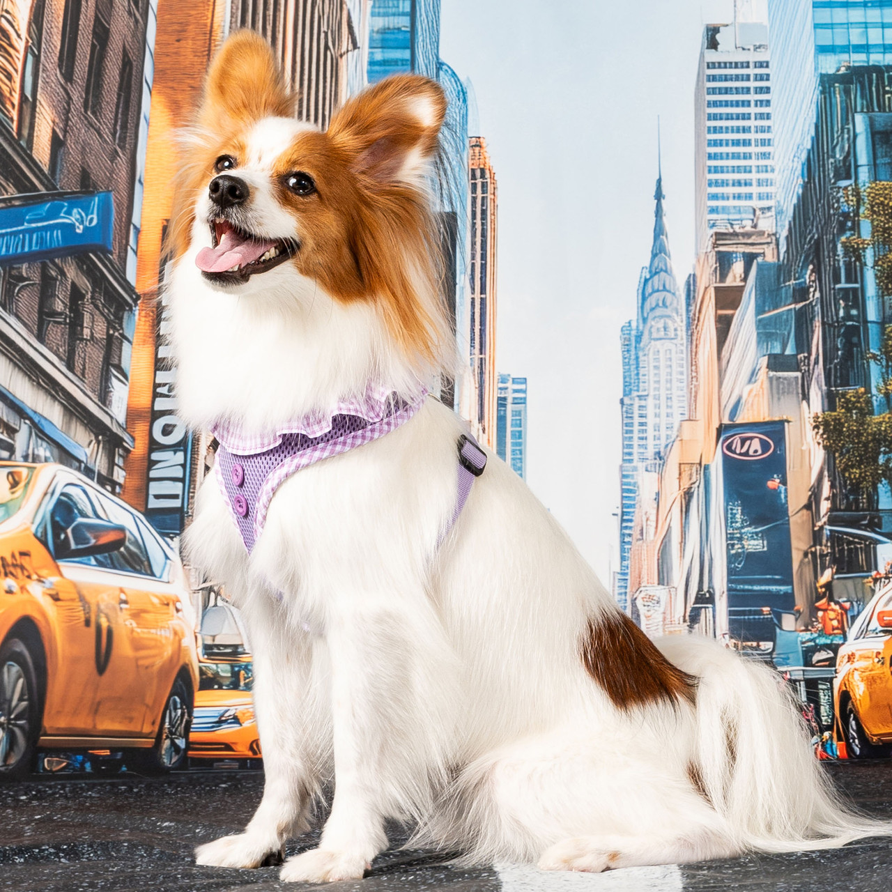 Puppia Vivien Harness