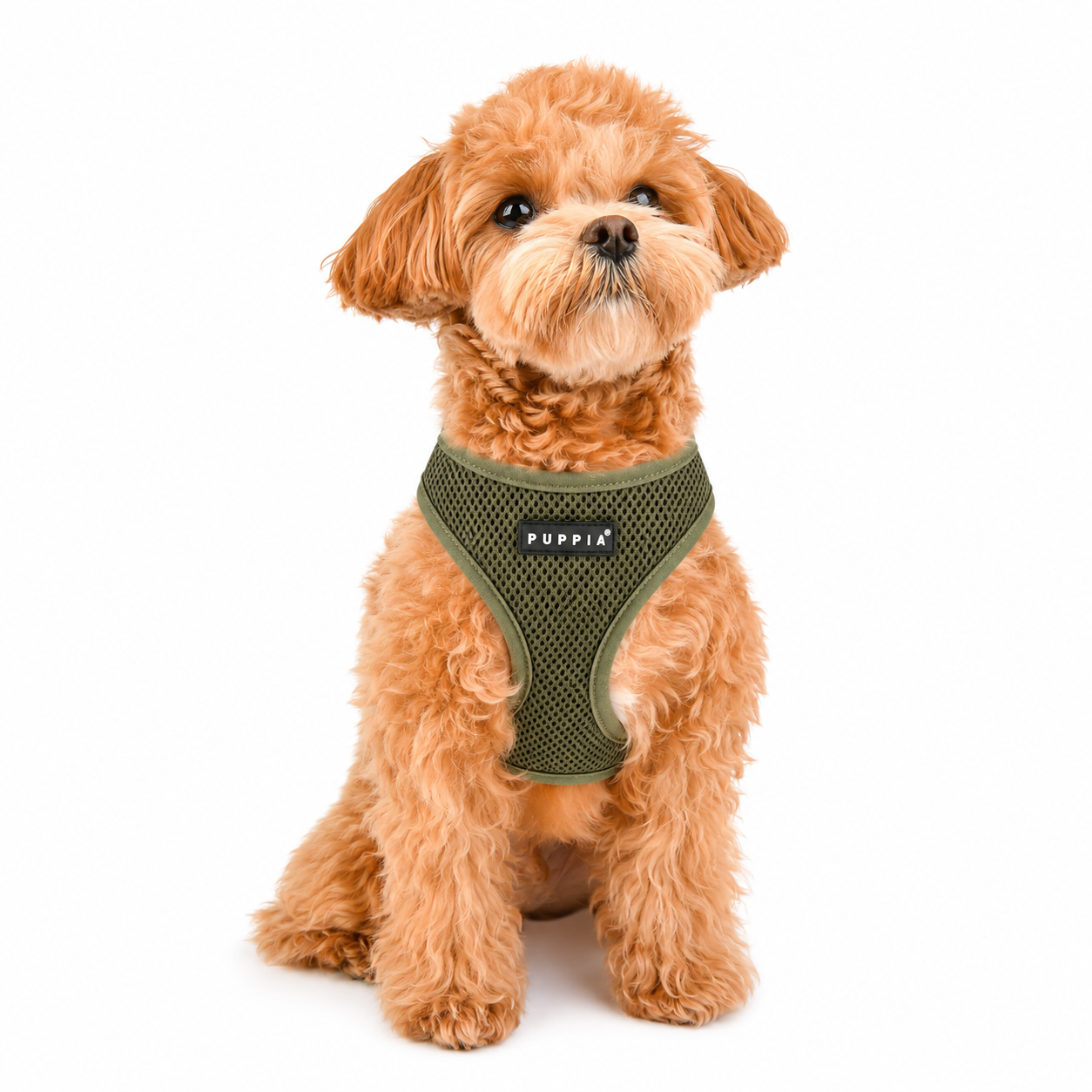 Puppia Soft Mesh Dog Harness - BUY 3 FOR $15.95 EACH