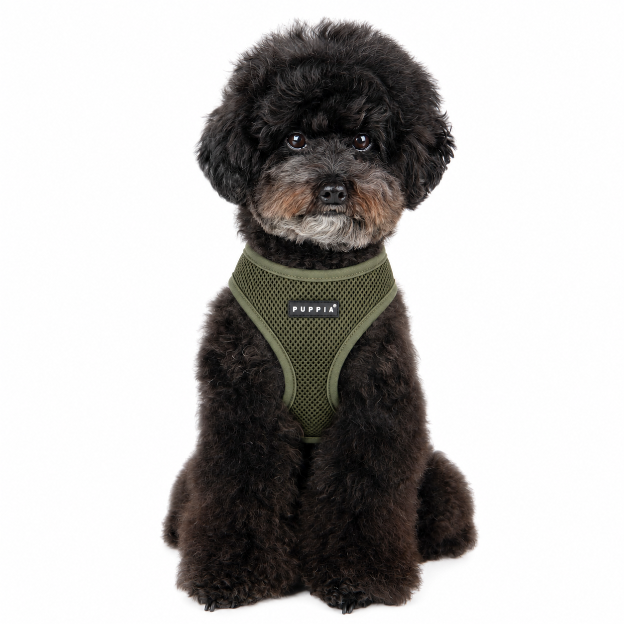 Puppia Soft Mesh Dog Harness - BUY 3 FOR $15.95 EACH