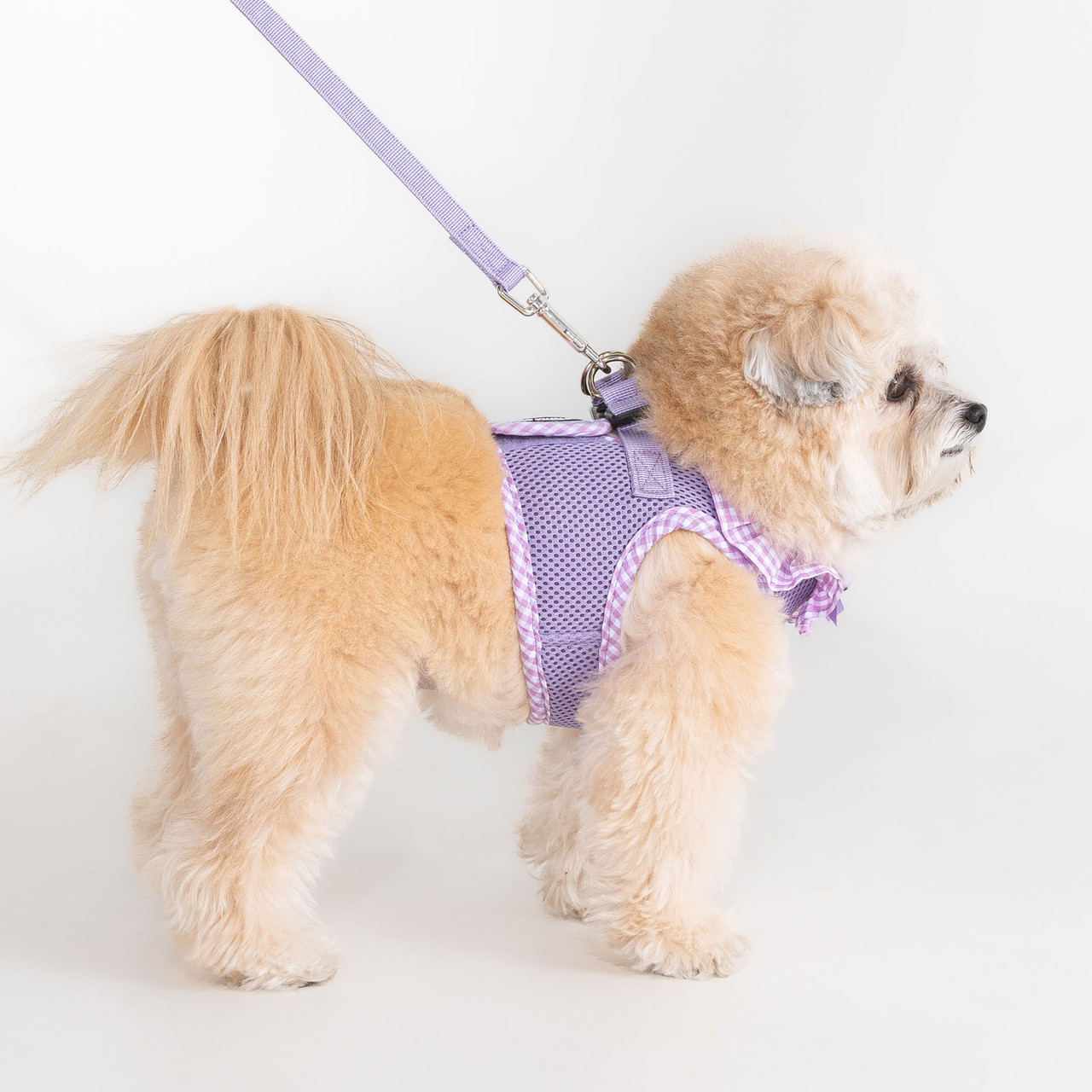 Puppia Vivien Vest Harness