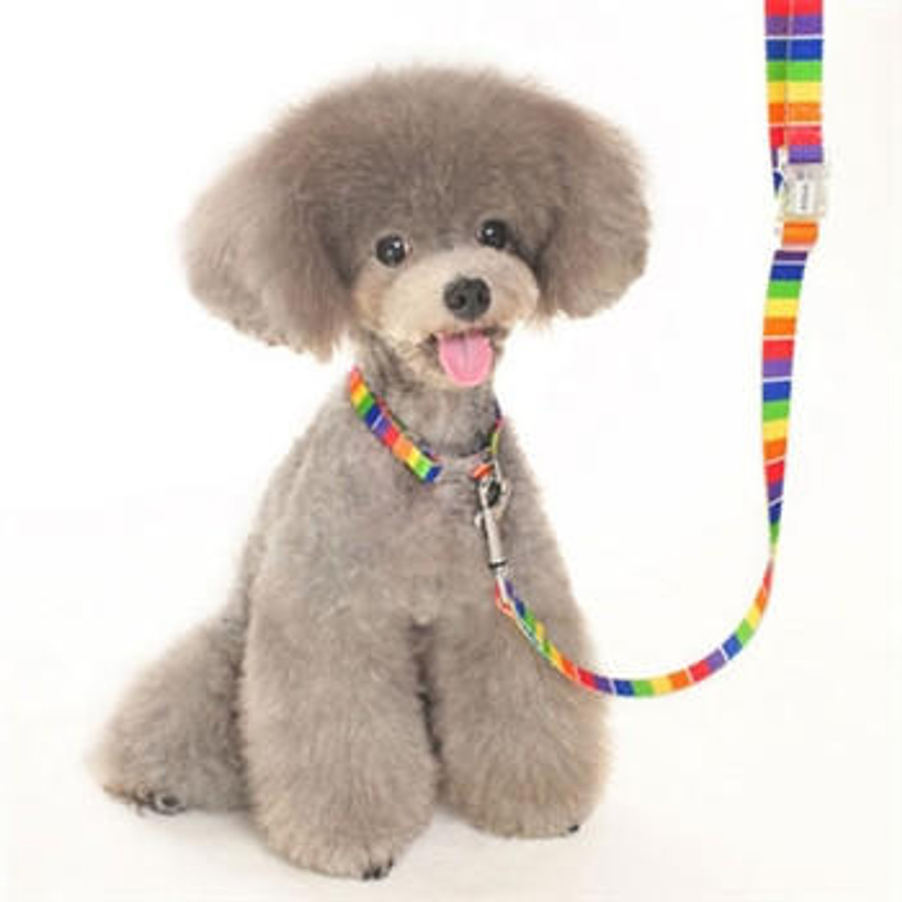 Dogo Contempo Rainbow Collar 