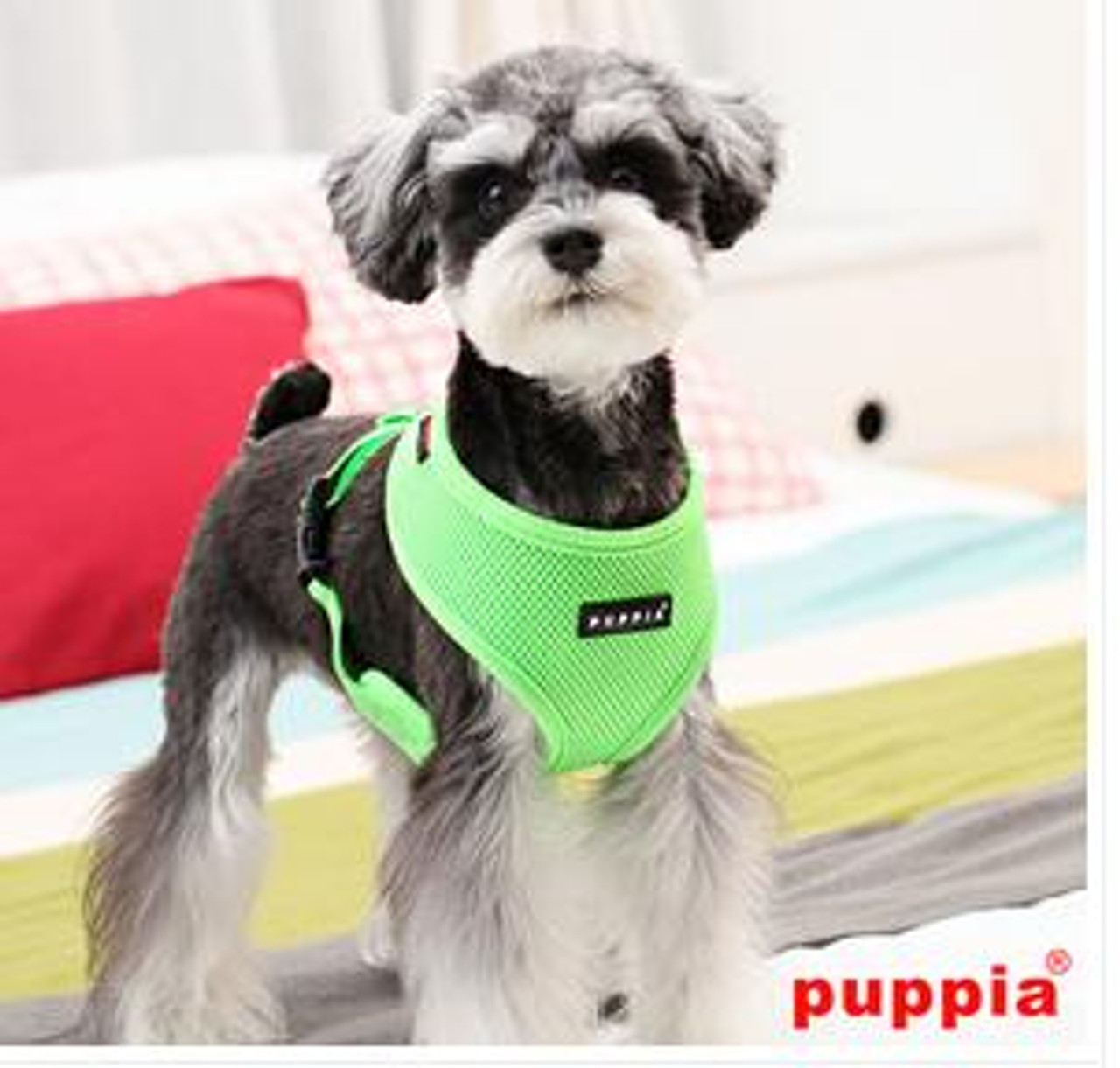  Puppia Neon Soft Mesh Harness 