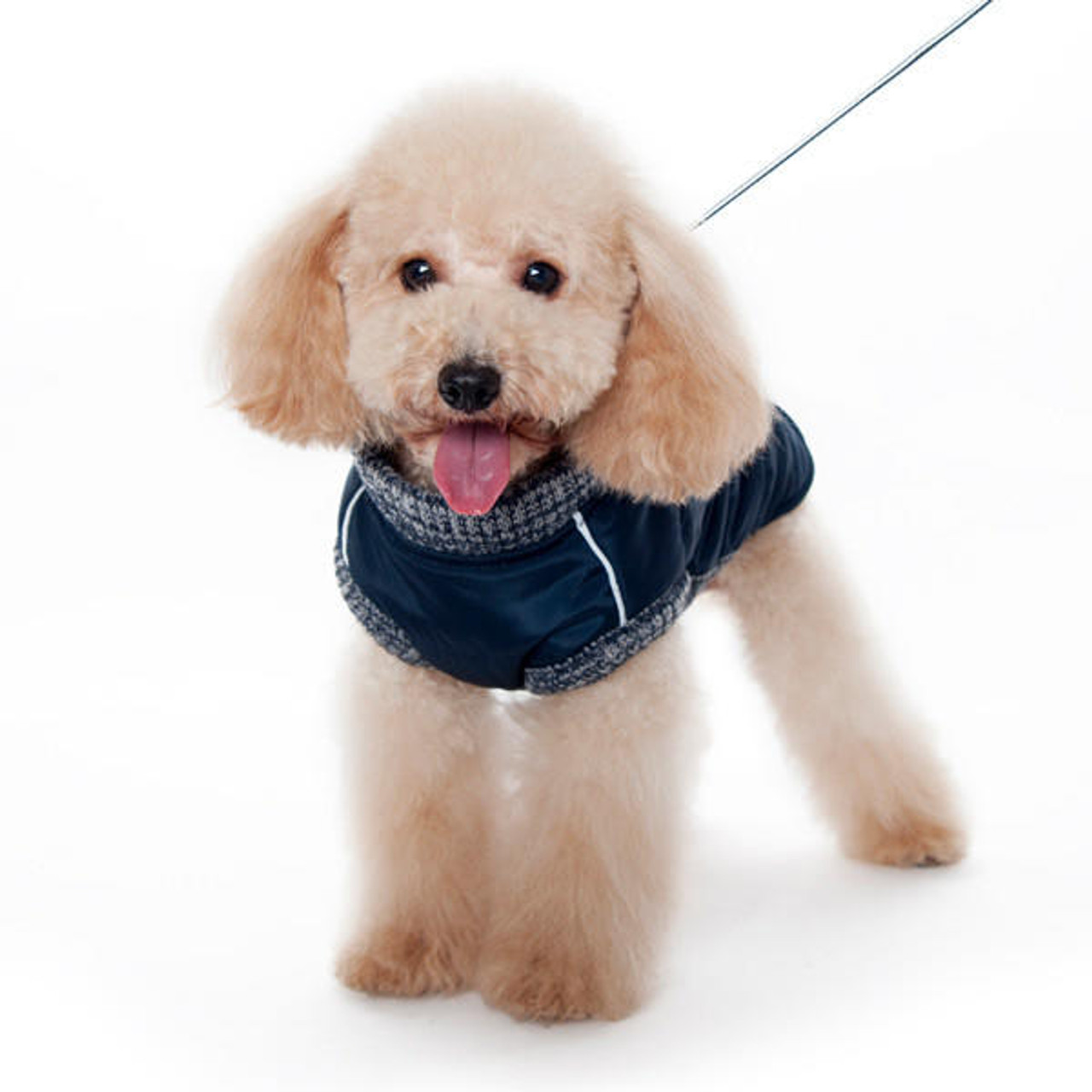 Dogo Runner Coat with Built In Harness 