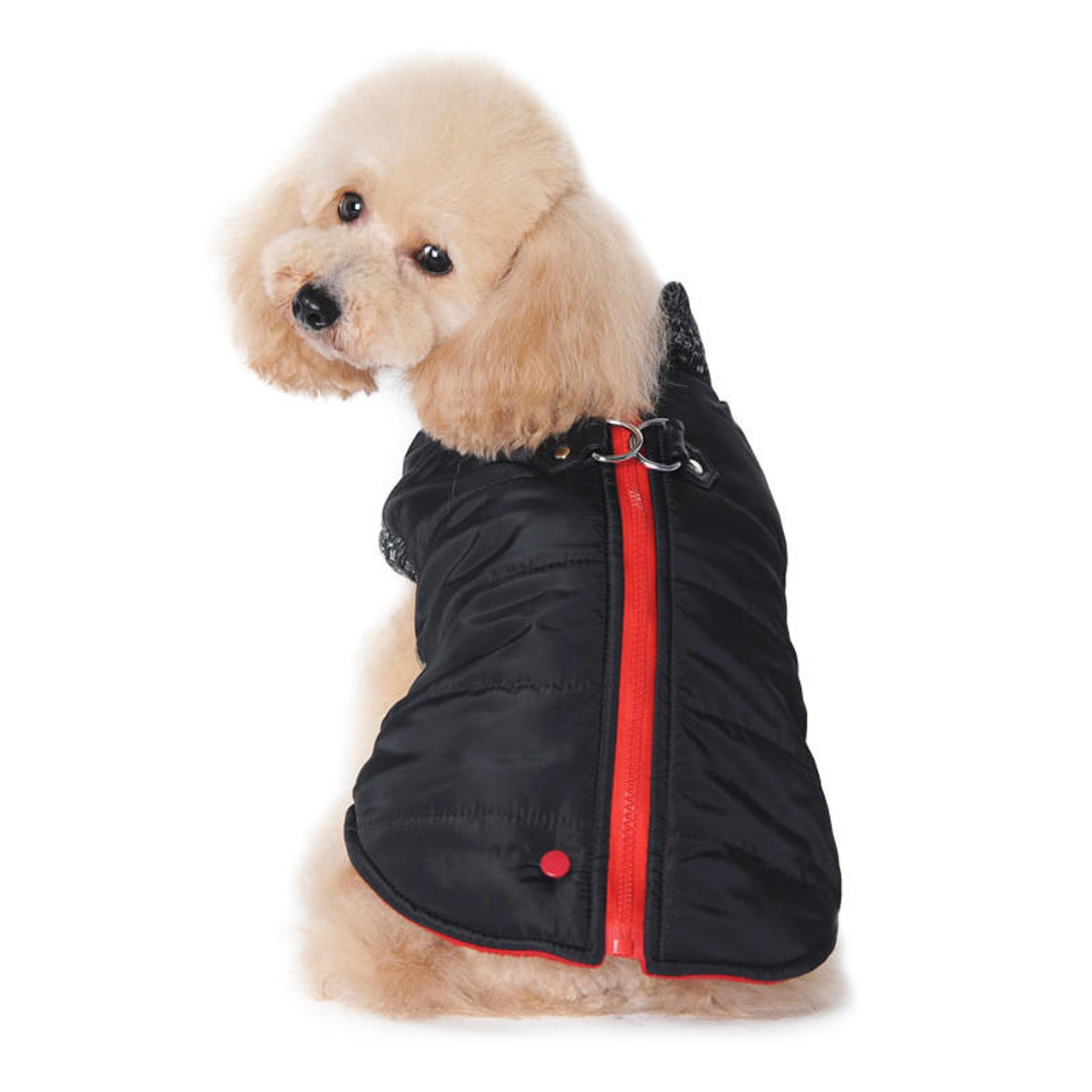 Dogo Runner Coat with Built In Harness 