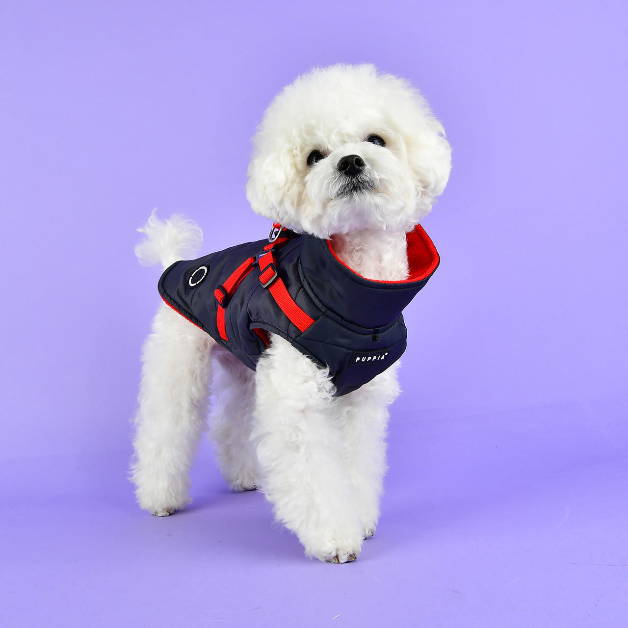 Dog Clothes, Dog Harnesses & Dog Outfits