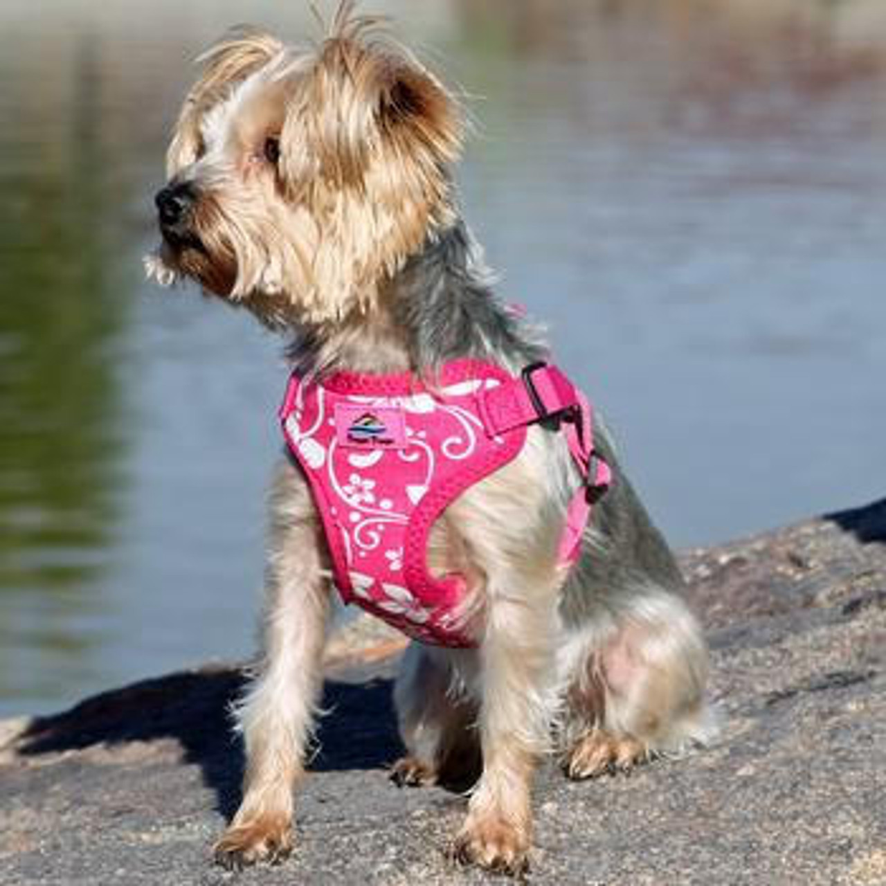 Doggie Design Wrap and Snap Choke Free Dog Harness 