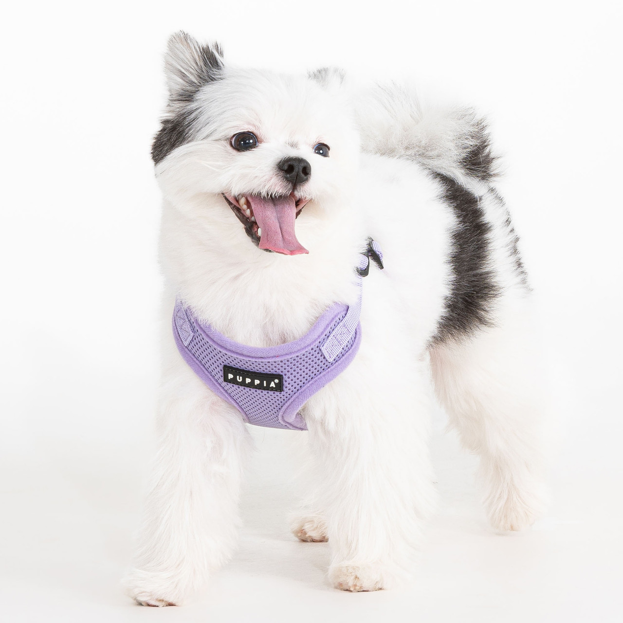 Puppia Soft Mesh Harness C Style
