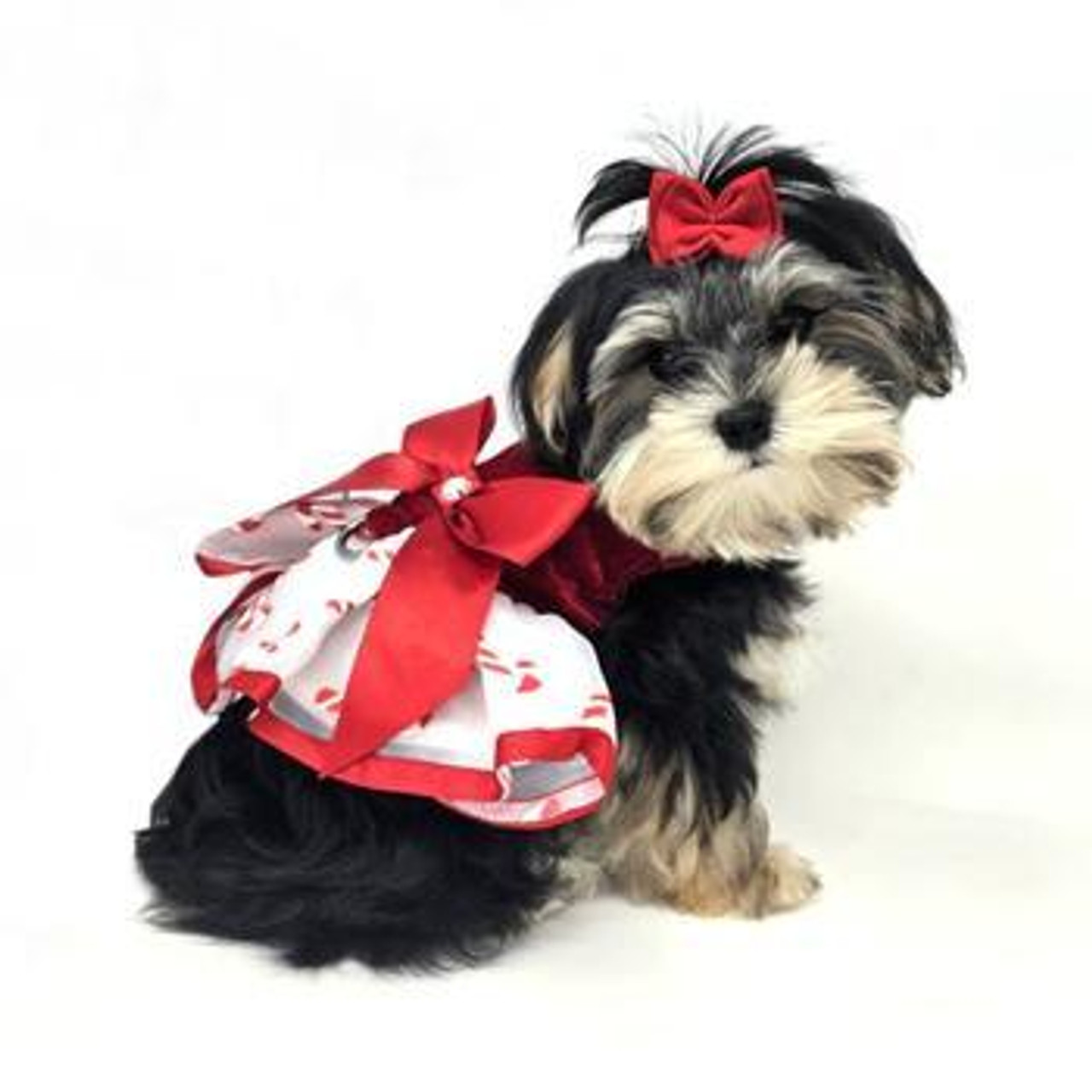 Doggie Design Holiday Candy Cane Harness Dress 