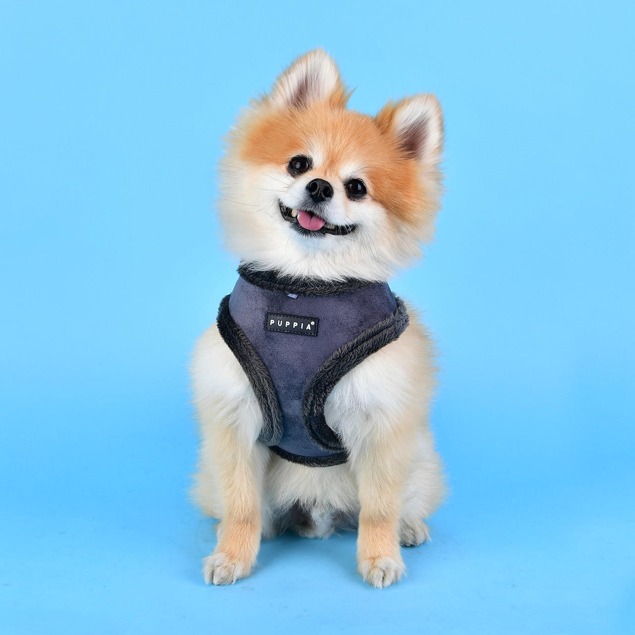 Puppia/Pinkaholic  Puppia Terry Harness 