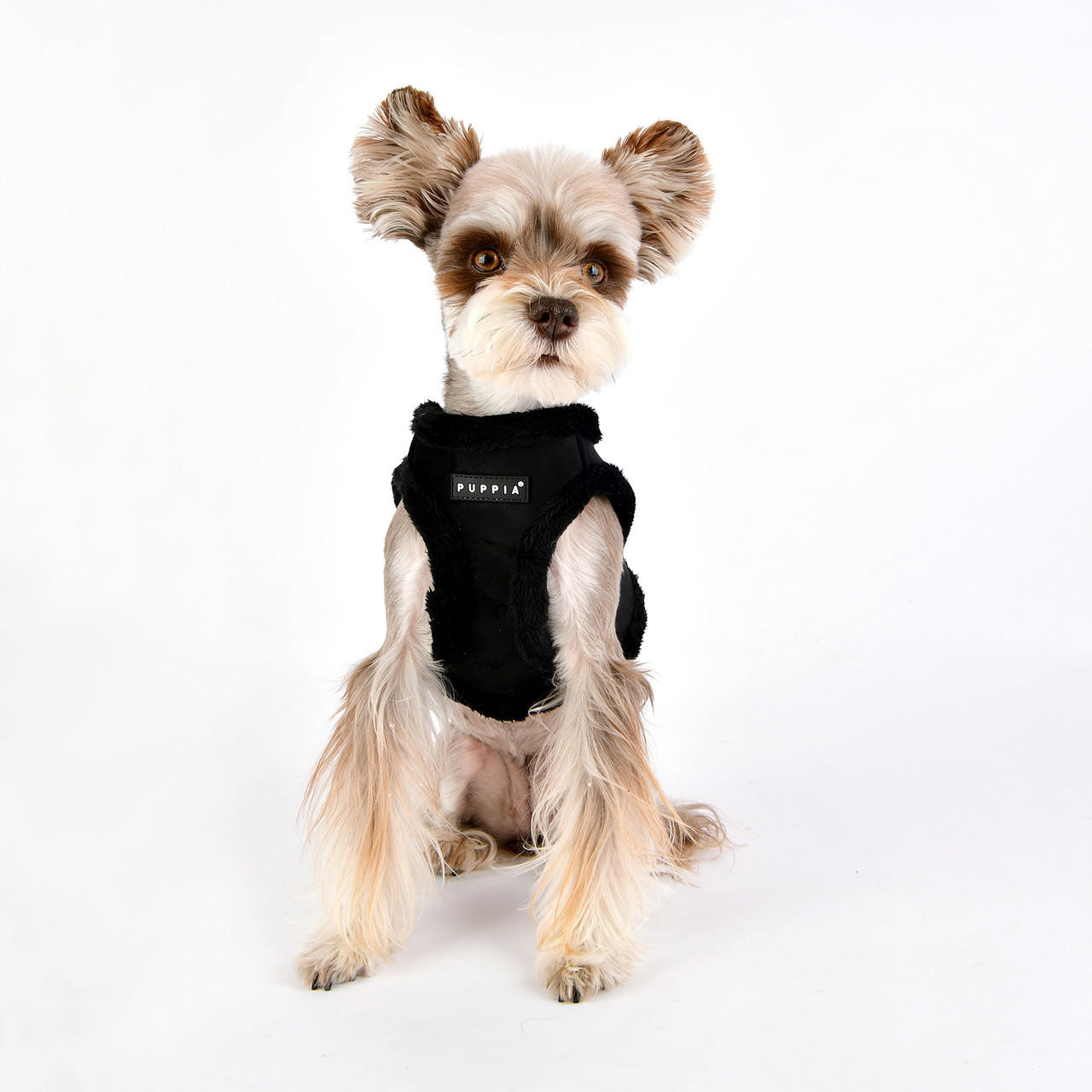 Puppia/Pinkaholic Puppia Terry Harness Vest(B) 