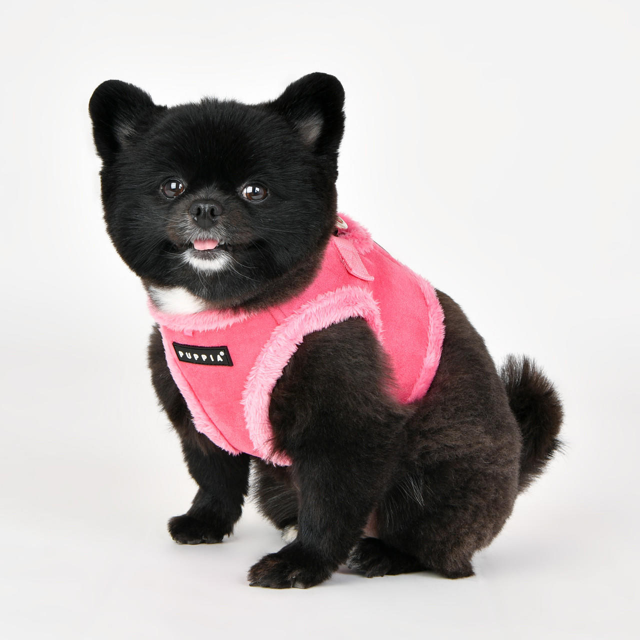 Puppia/Pinkaholic Puppia Terry Harness Vest(B) 